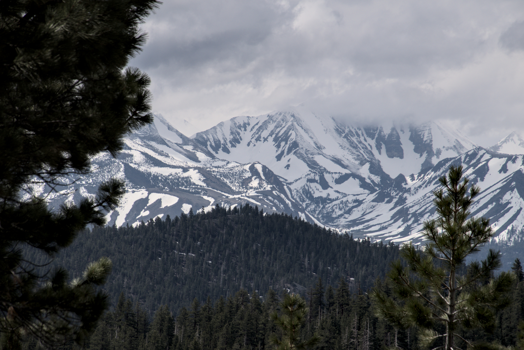 Highm mountain peaks, half covered in snow, shrouded by clouds, with pine covered foothills.