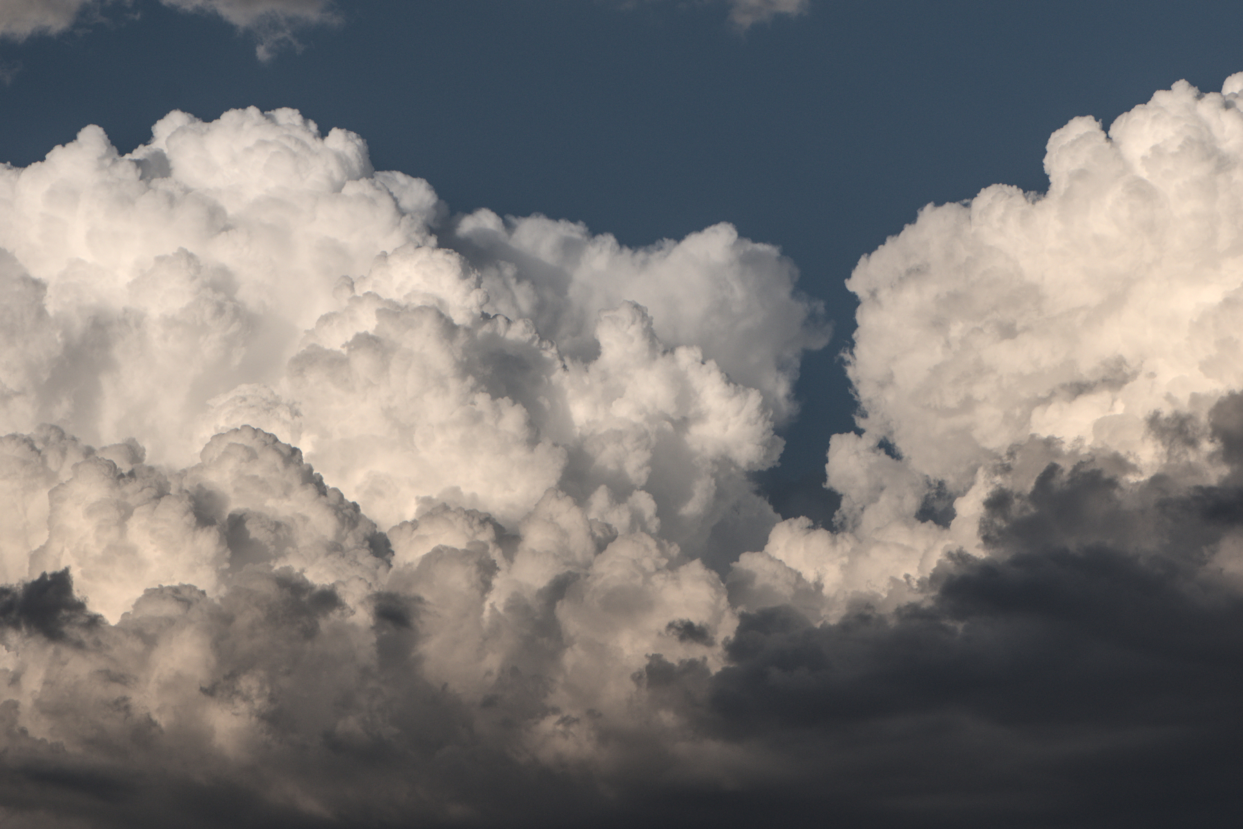 Puffy cumulonimbus clouds.