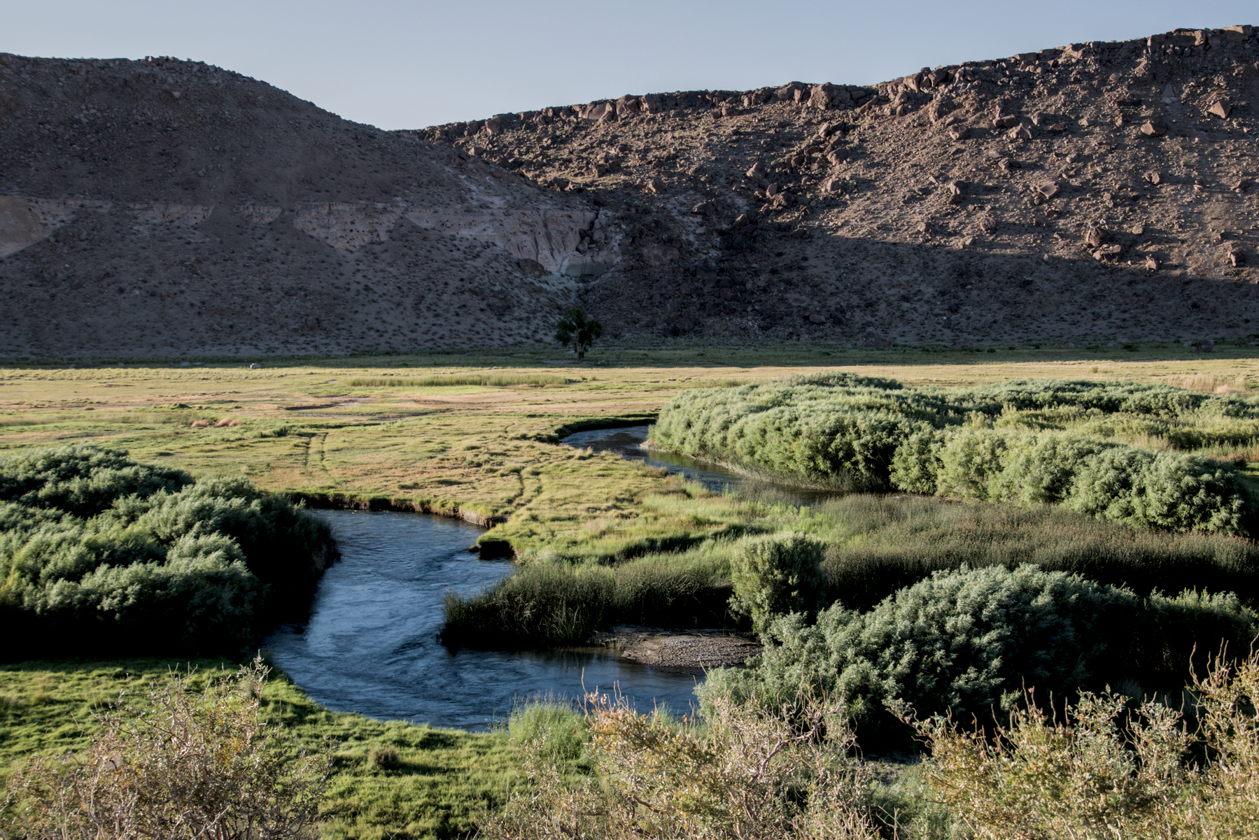 Oxbows of the Owens River, full to the brim, meander through Pleasant Valley. The valley is full of greenery.  A bluff of pink volcanic rock forms the valley wall on the far side.