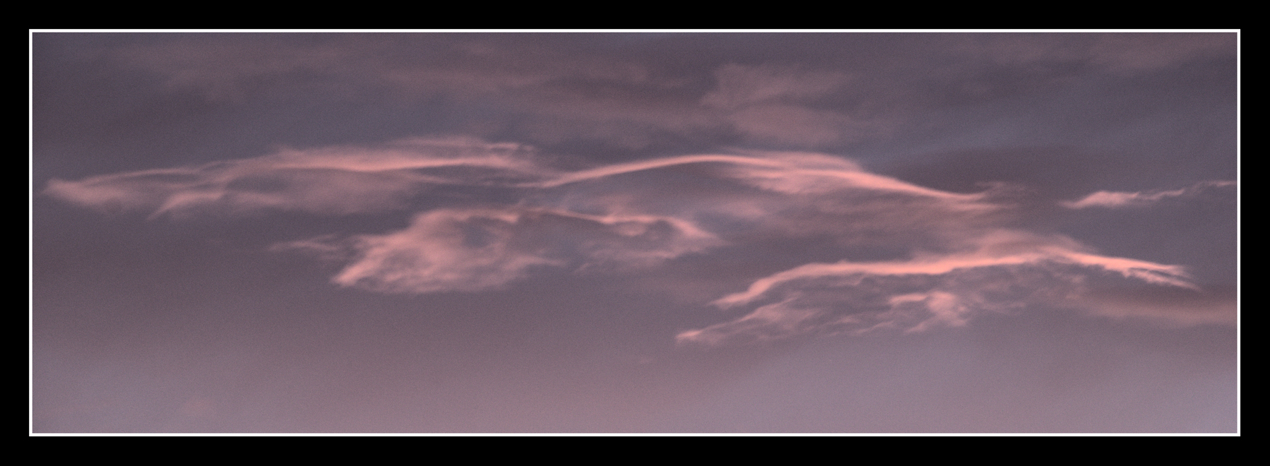 Soft, wispy pink clouds.