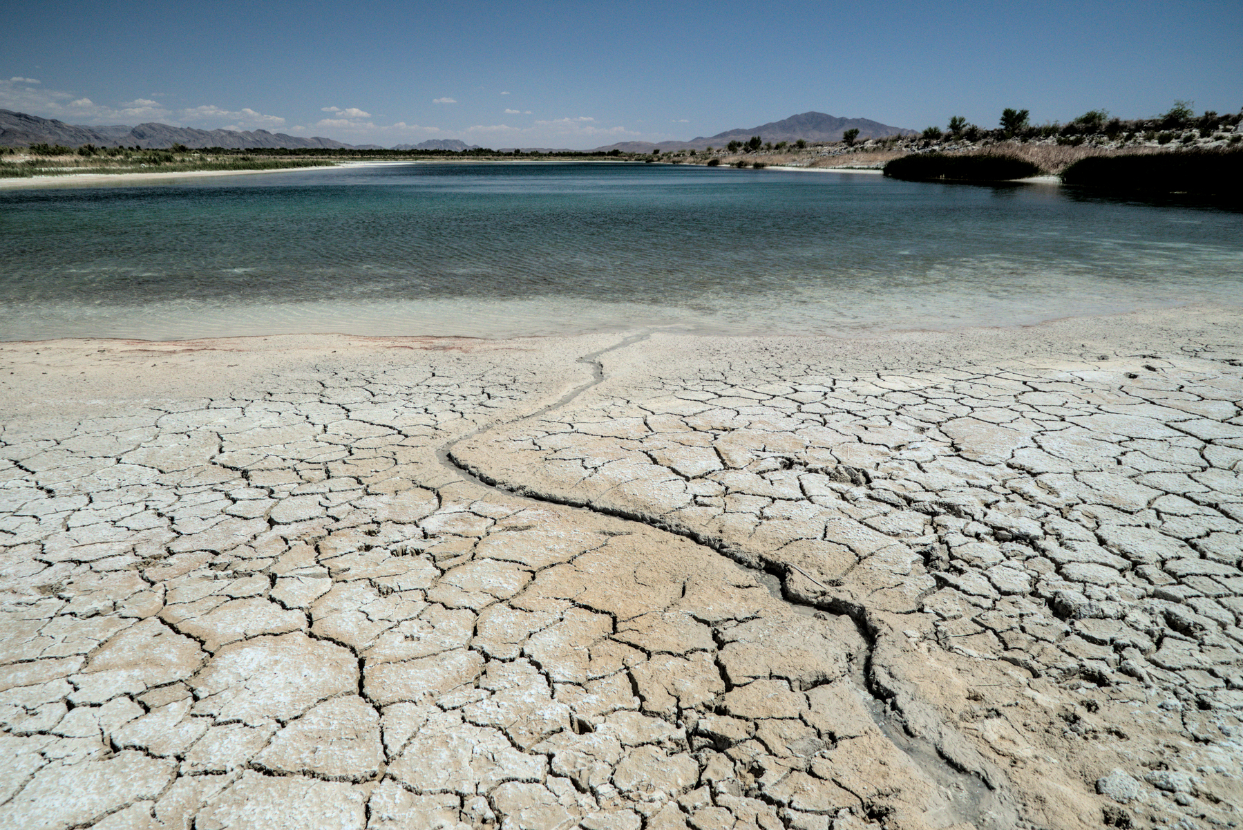 Parched and cracked desert mud forms a beach at the edge of a green reservoir in the desert.