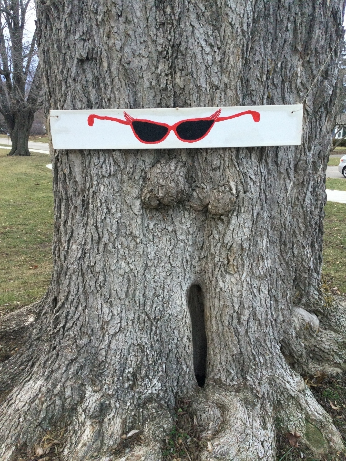 A broad tree trunk has a white, wide board attached to it. Drawn on the board are red sunglasses with pointy bits rising up from the outside of he lens, like cats’ ears or eyes. The ends of the bows suggest ovaries at the end of fallopian tubes. There are no words. Below the board, the tree has two bulbous knobs, and near the roots, a dark vertical opening. 