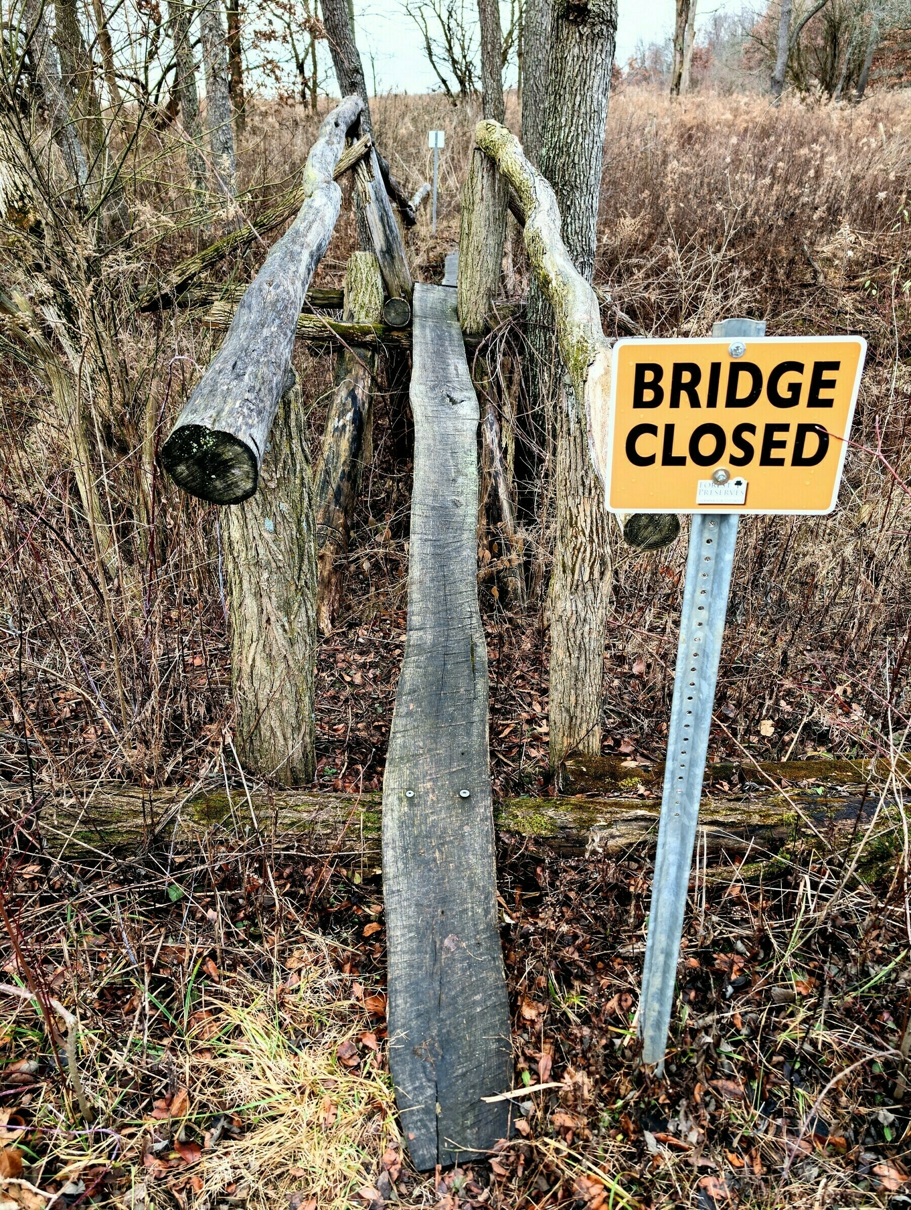 A crude wooden bridge with one narrow plank between two handrails is marked with a bright yellow sign that says, Bridge Closed.