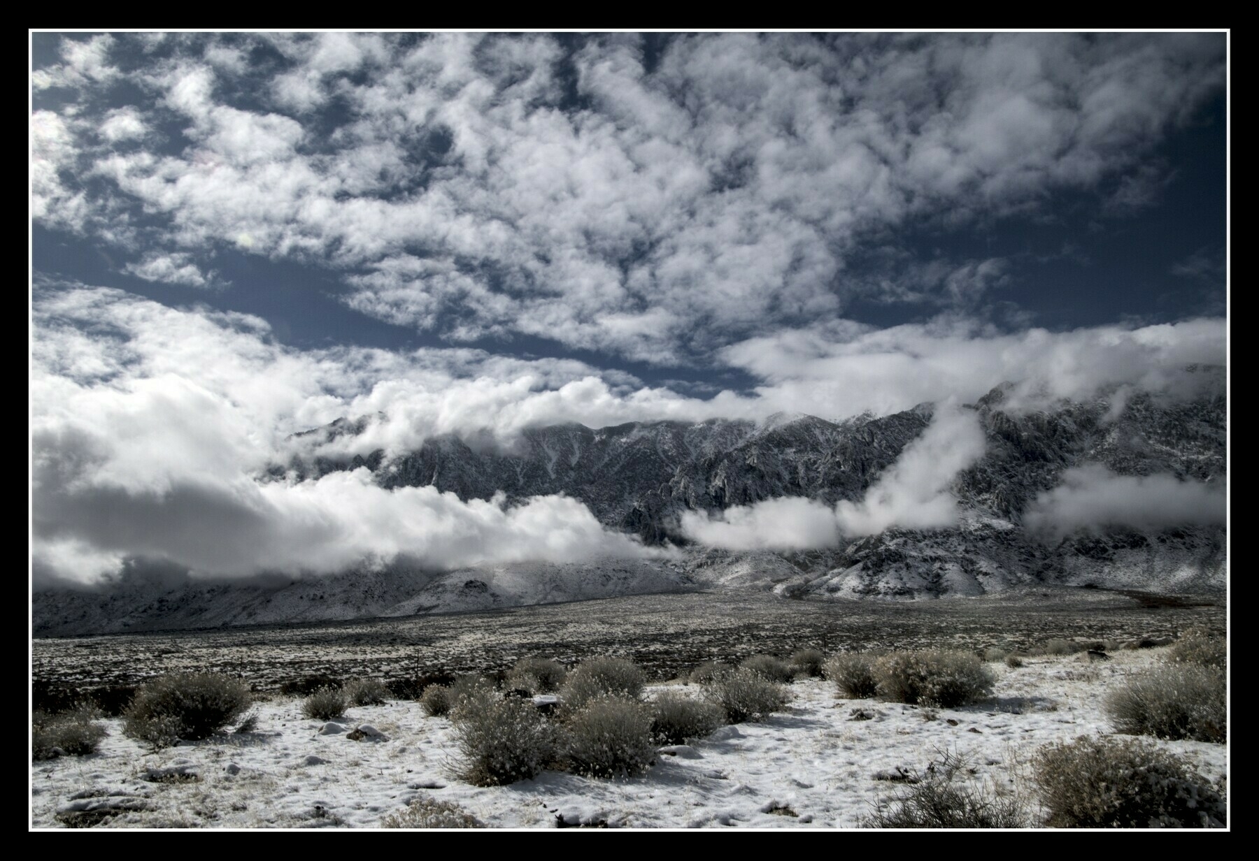 A wide angle shot of sagebrush covered in snow, a wide mountain ridge, scattered foggy clouds, and hints of blue sky.