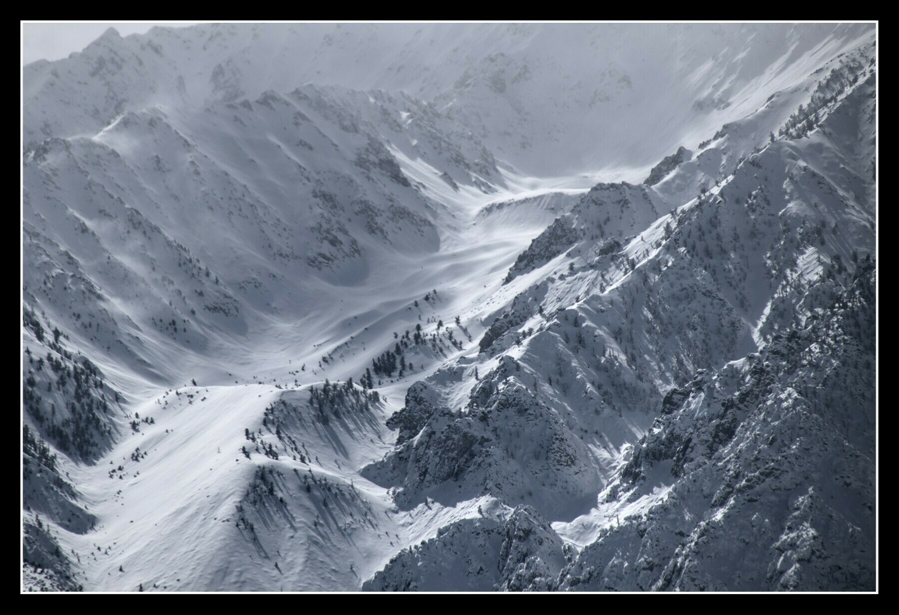 A curving canyon sweeps down from a jagged mountaintop, covered in snow, dotted with pine trees.