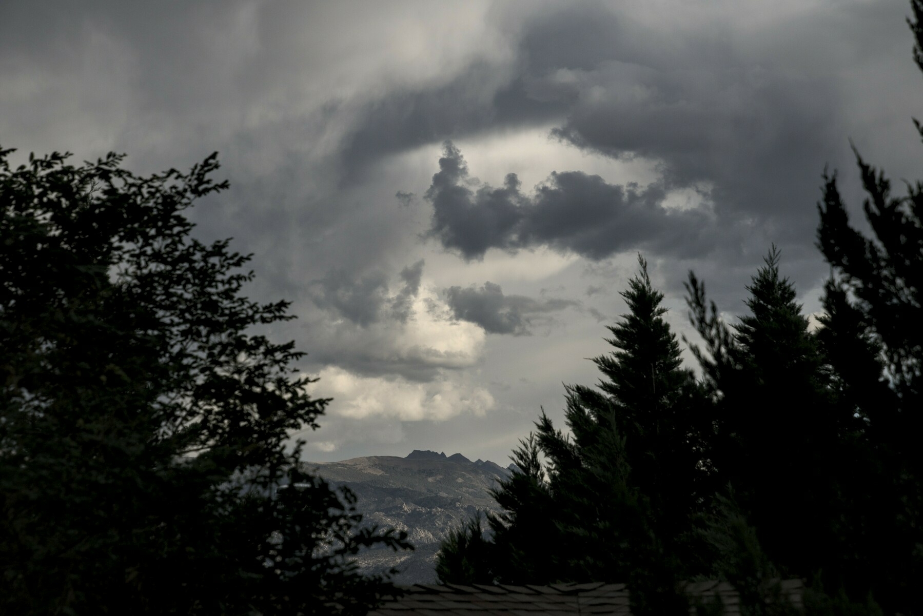 Grey clouds of vary shades form a swirl between two trees.