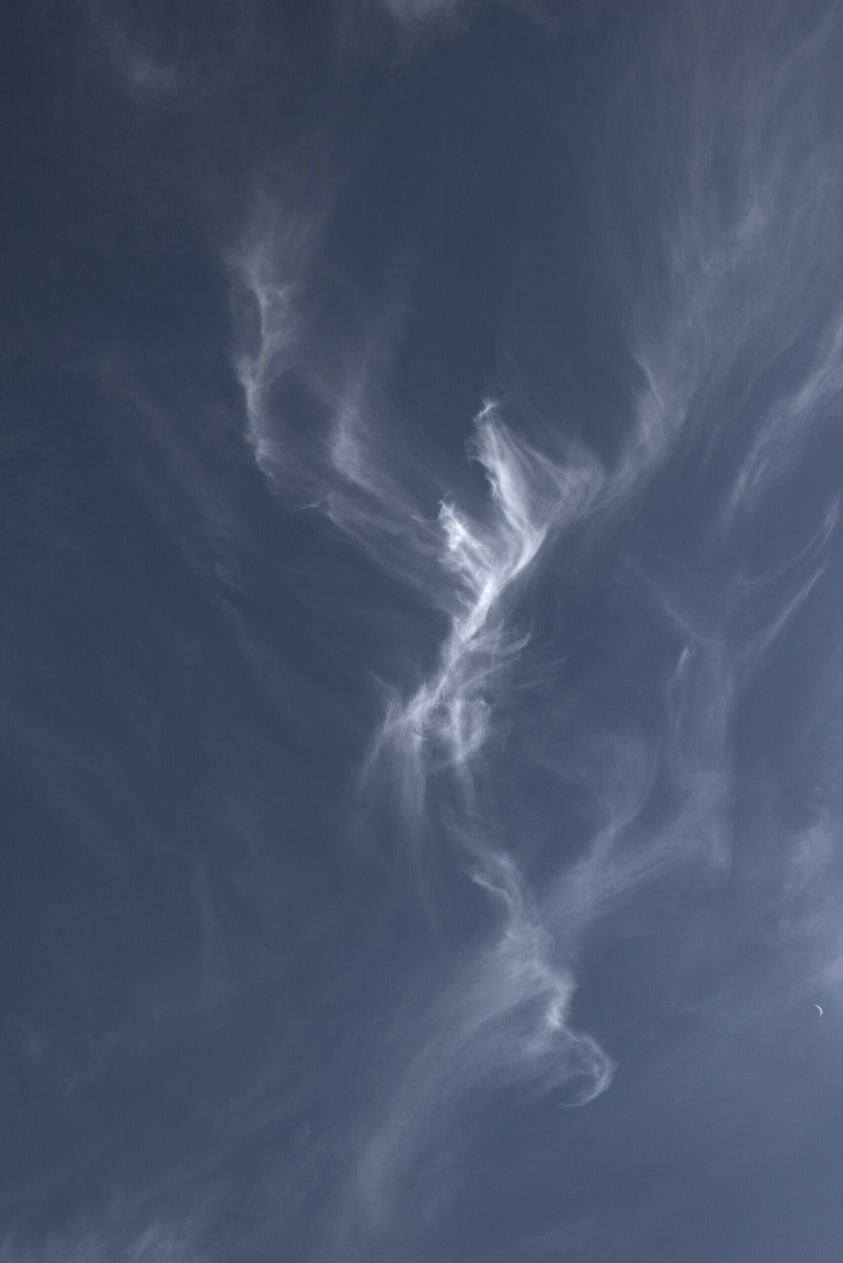 Wispy, white cirrus clouds vaguely form the shape of a bird.