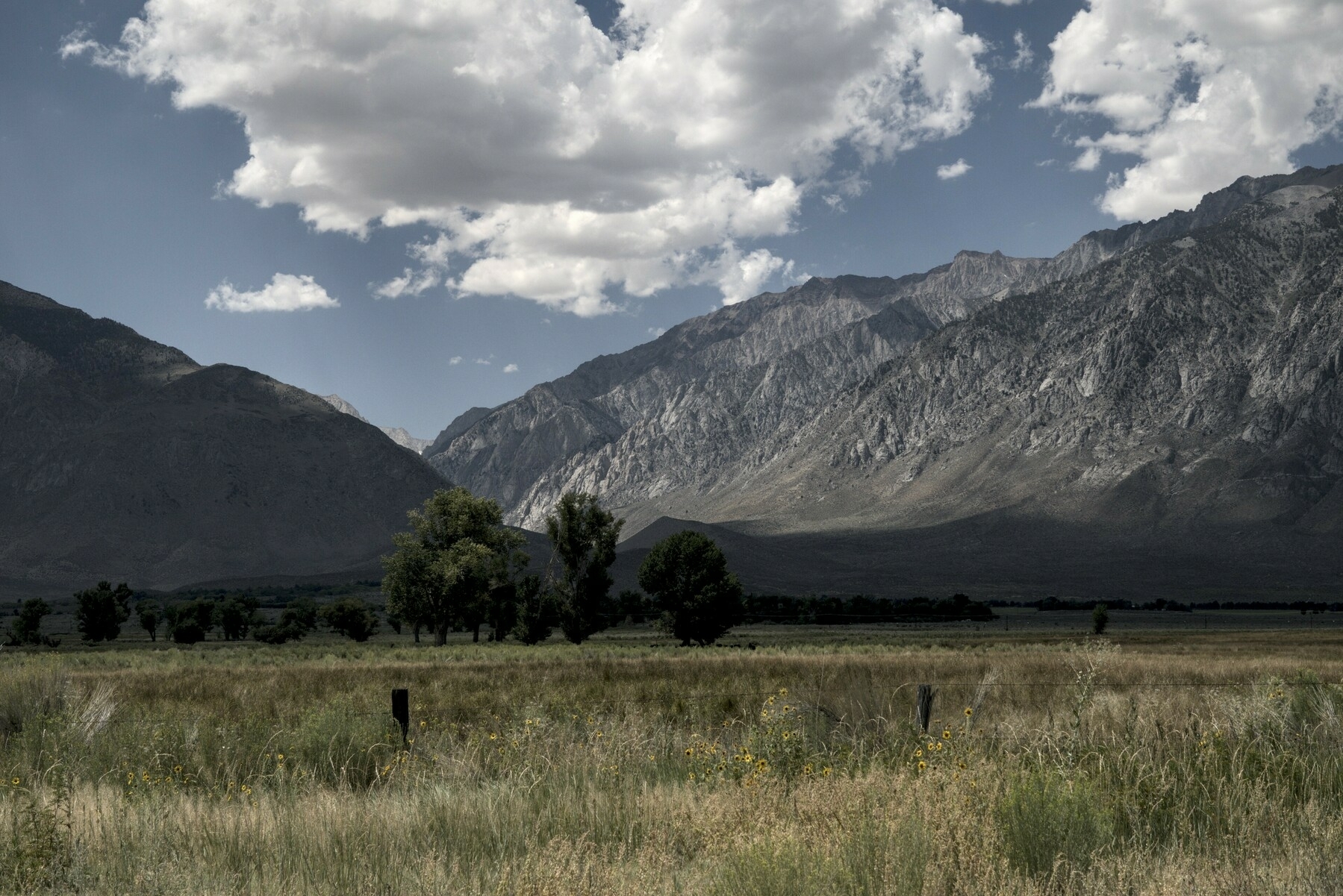 Green pasture, granite escarpment, and blue skies with puffy white clouds.