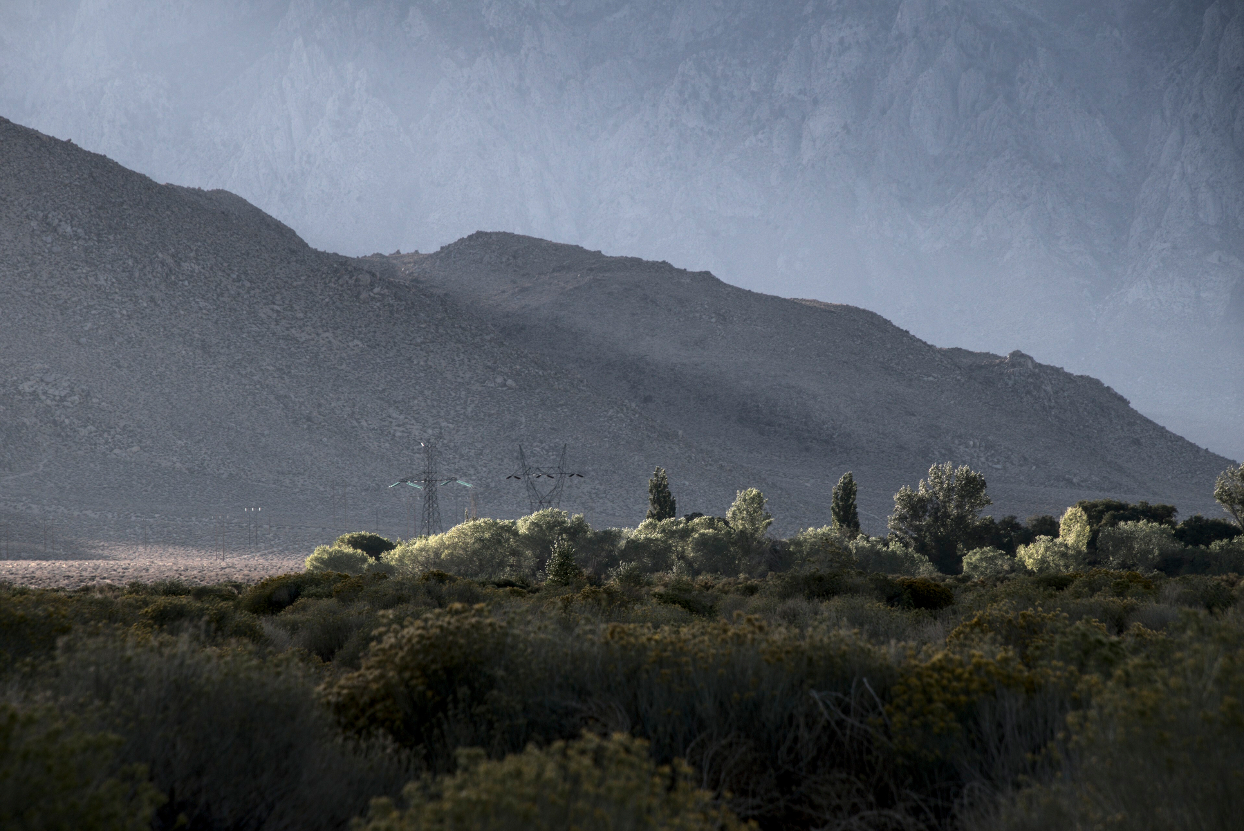 Below the Tungsten Hills, a shaft of light hits a group of trees.