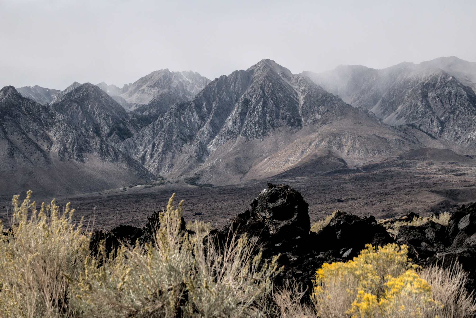 Yellow flowering bushes, black lava forms, and granite mountains.