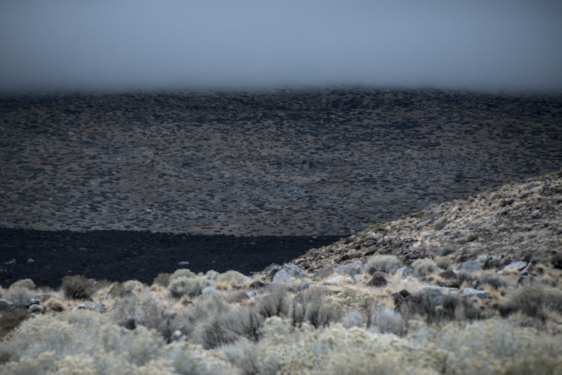 Fog, high sage desert, a curving hill, a flat foreground segment the view.