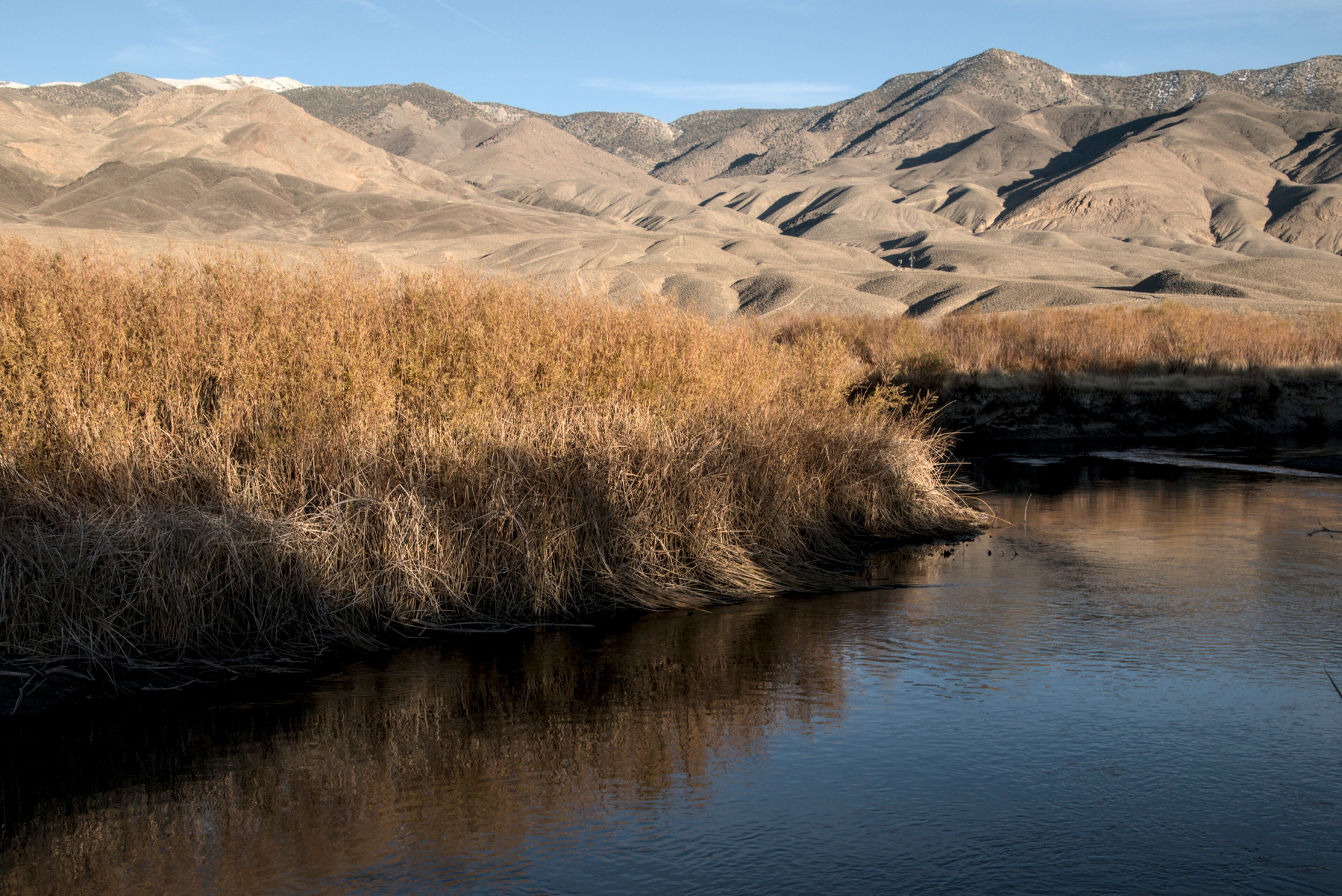 A river turns through reedy banks while mountains loom in the distance.